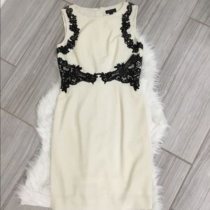 NWT Tahari Winter White Dress
